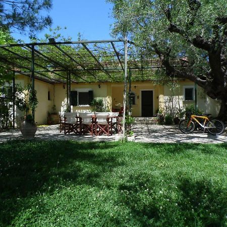 Theni Olive Grove Villa Kato Yerakarion Ngoại thất bức ảnh