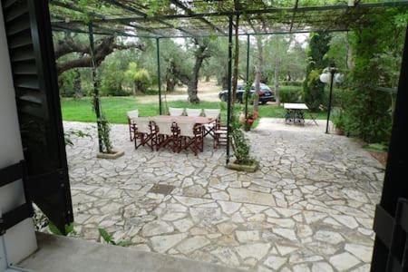 Theni Olive Grove Villa Kato Yerakarion Ngoại thất bức ảnh