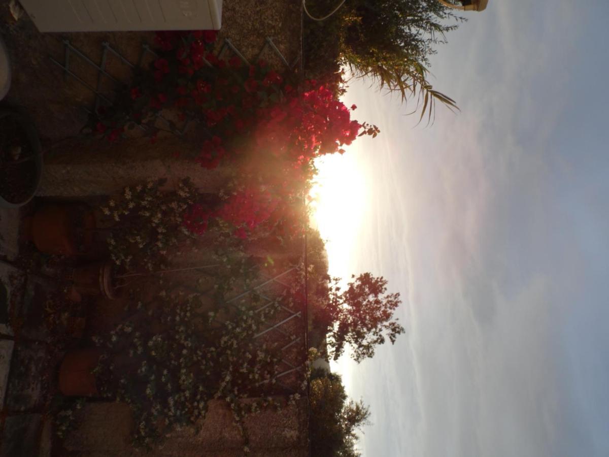 Theni Olive Grove Villa Kato Yerakarion Ngoại thất bức ảnh