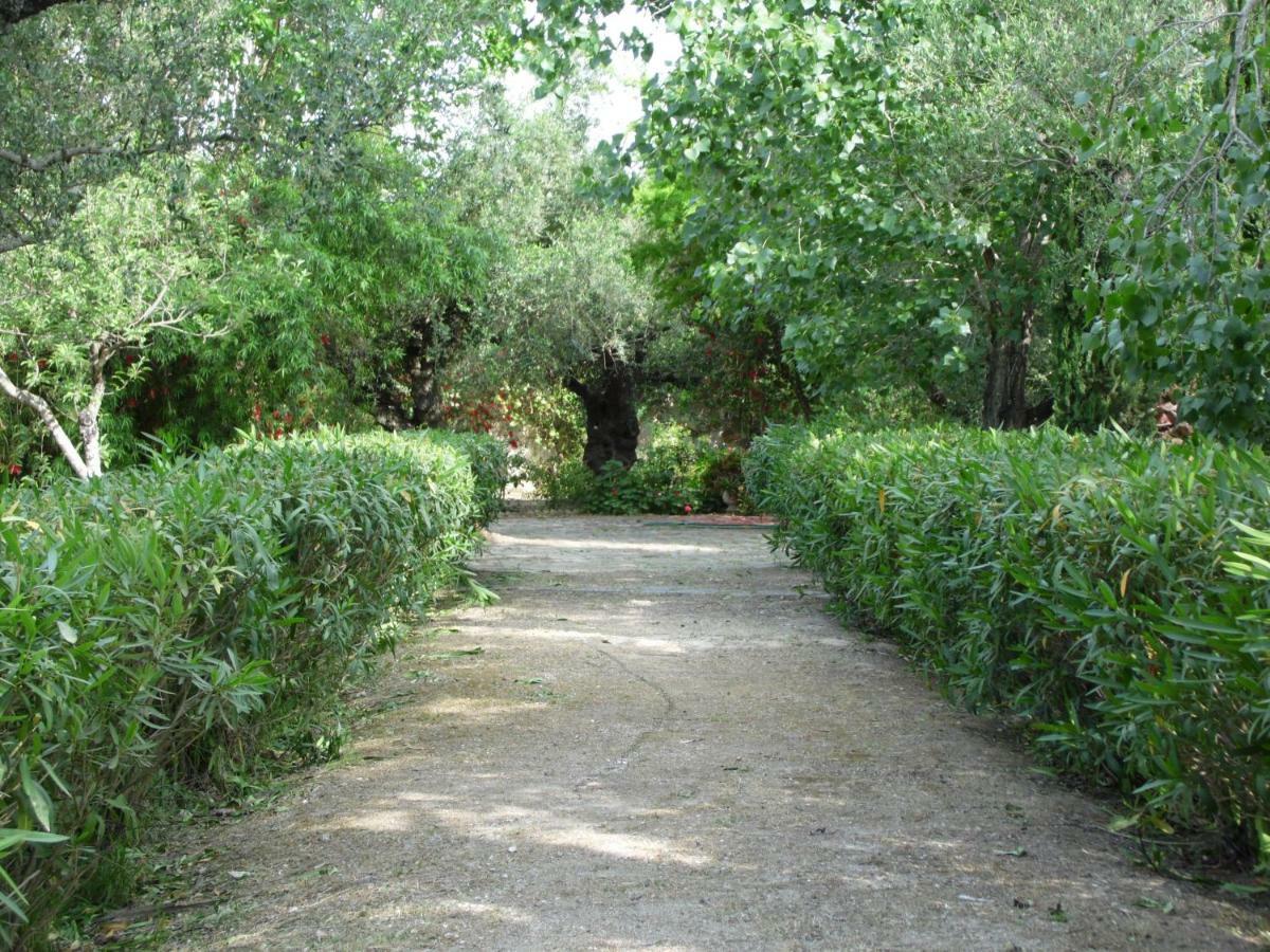 Theni Olive Grove Villa Kato Yerakarion Ngoại thất bức ảnh