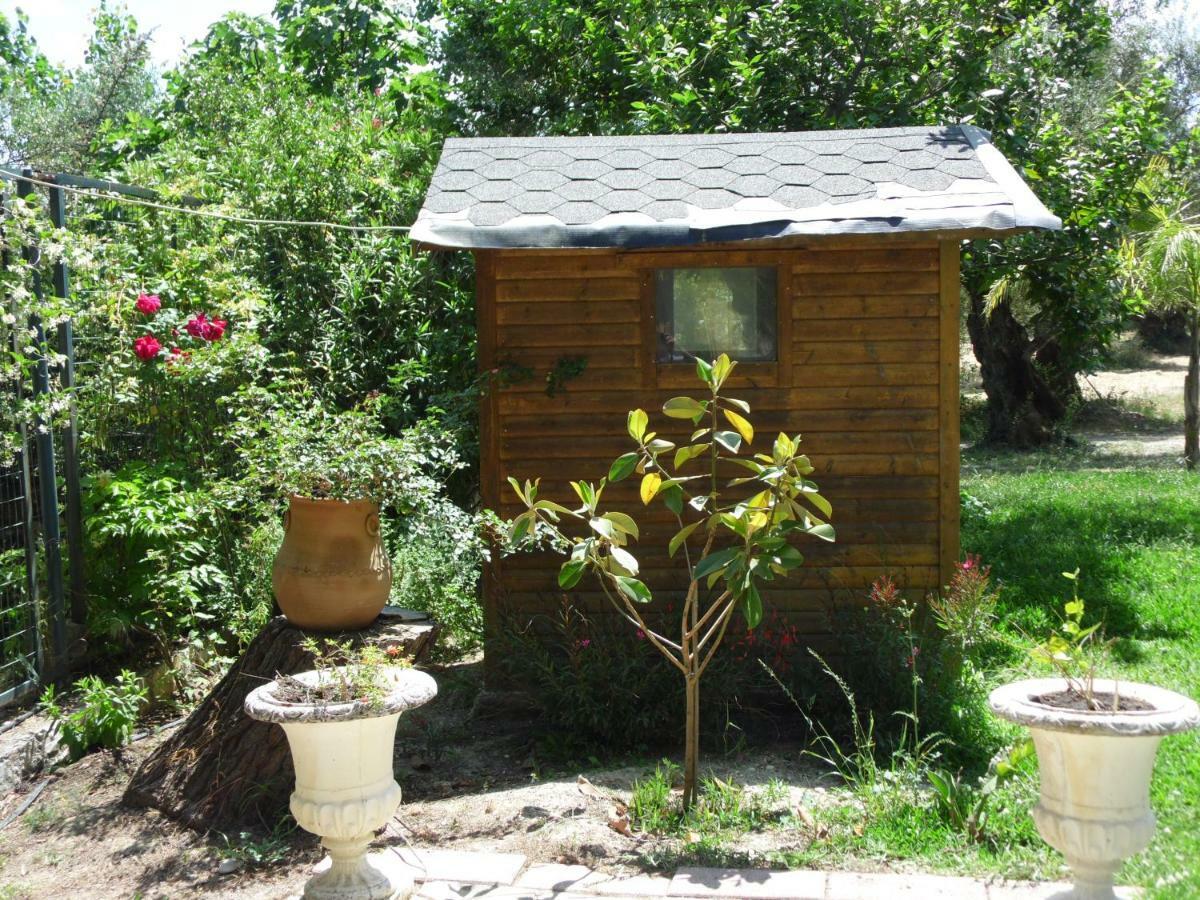 Theni Olive Grove Villa Kato Yerakarion Ngoại thất bức ảnh
