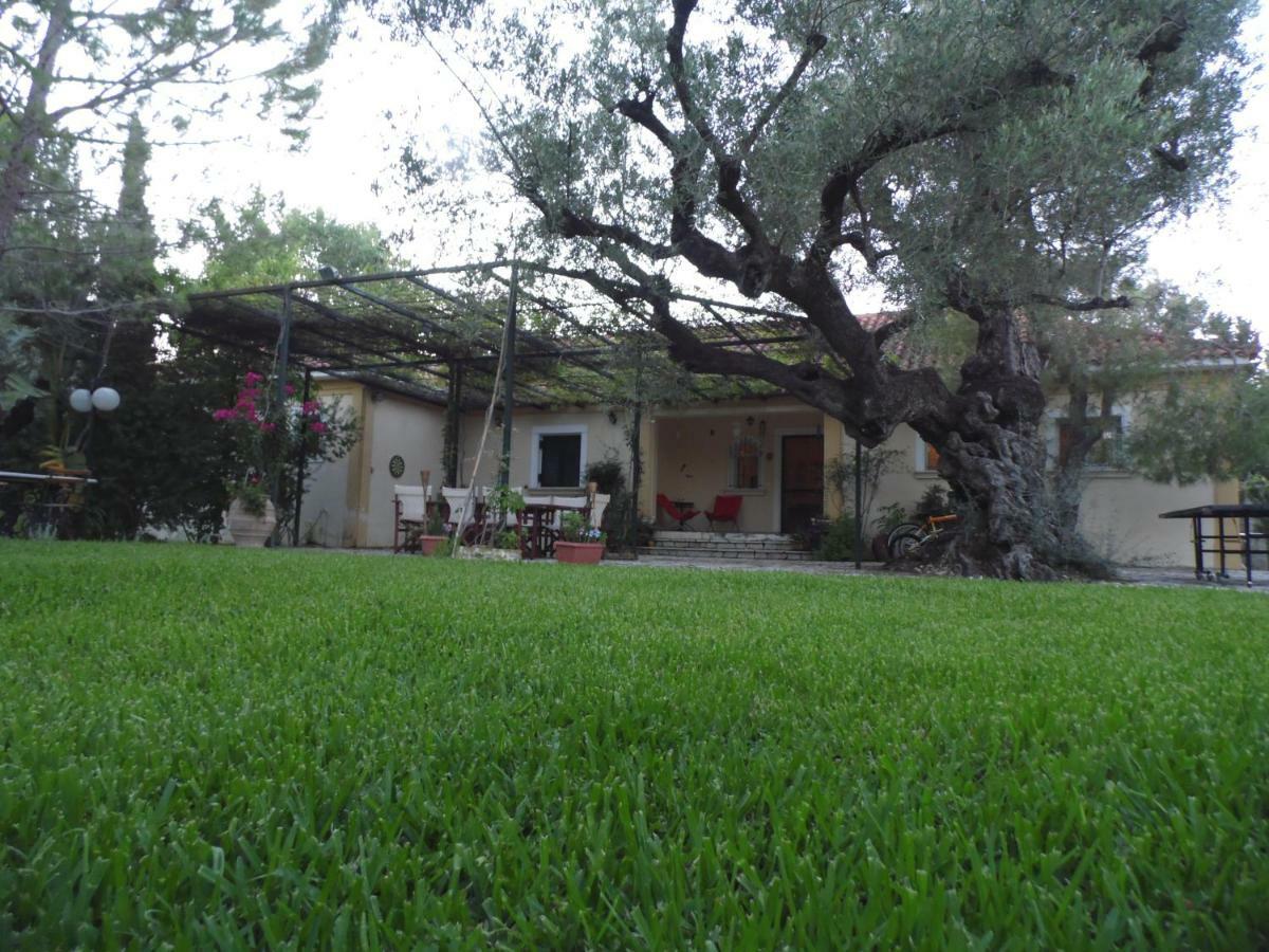 Theni Olive Grove Villa Kato Yerakarion Ngoại thất bức ảnh